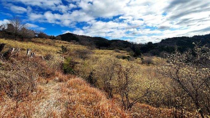 【紅葉を見に行こう！】紅葉を感じる箱根の旅　1泊2食付プラン